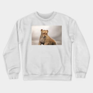 Pussy Cat Pussy Cat Crewneck Sweatshirt